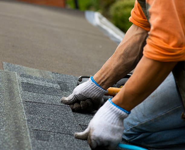 Best Roof Gutter Cleaning  in Eureka, MT