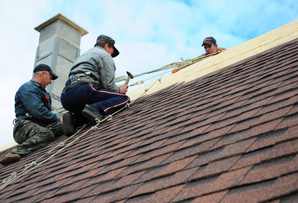 Best Roofing Contractor Near Me  in Eureka, MT