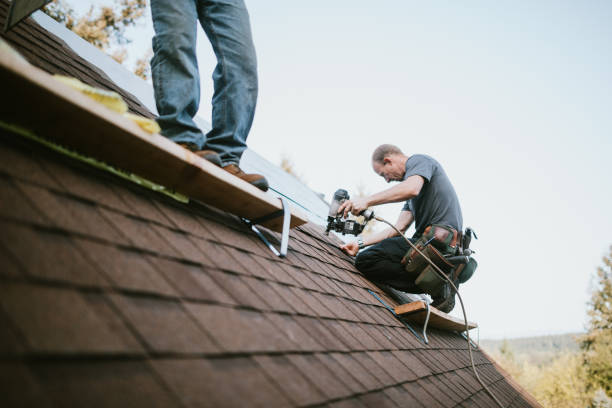 Sealant for Roof in Eureka, MT
